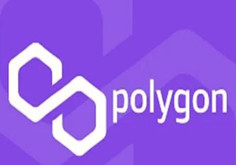 Polygon文档