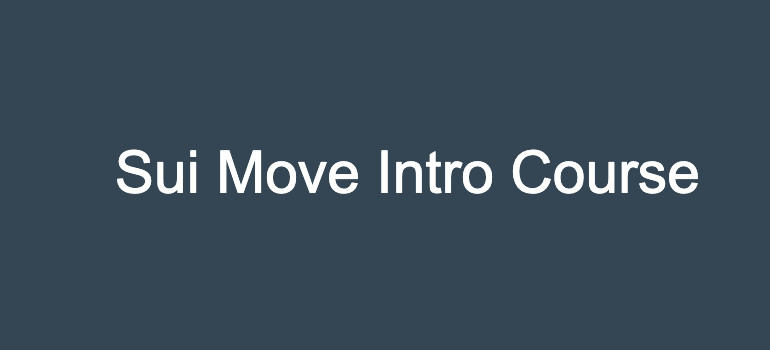 Sui Move Intro 课程