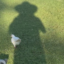 寻月隐君