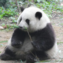帆哥